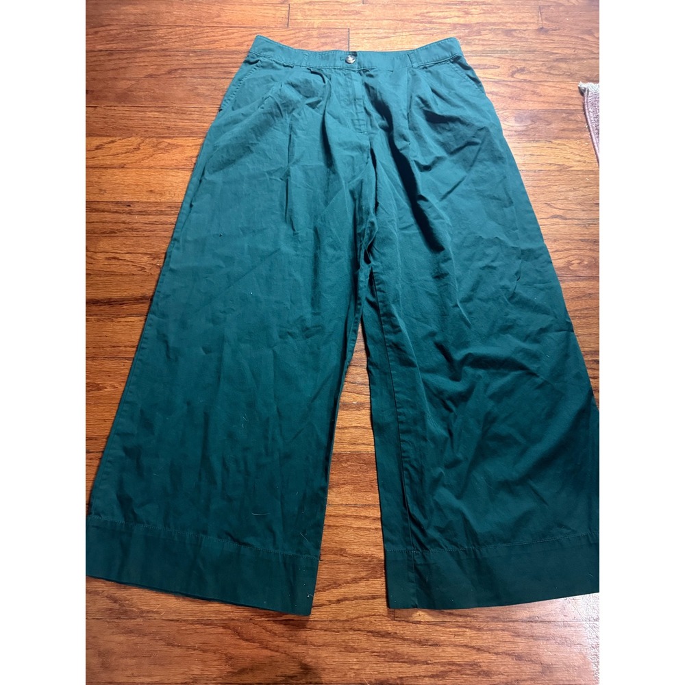 LOFT Womens Forest Green Pleated Wide Leg Crop Pants Size 14 High Rise Trouser